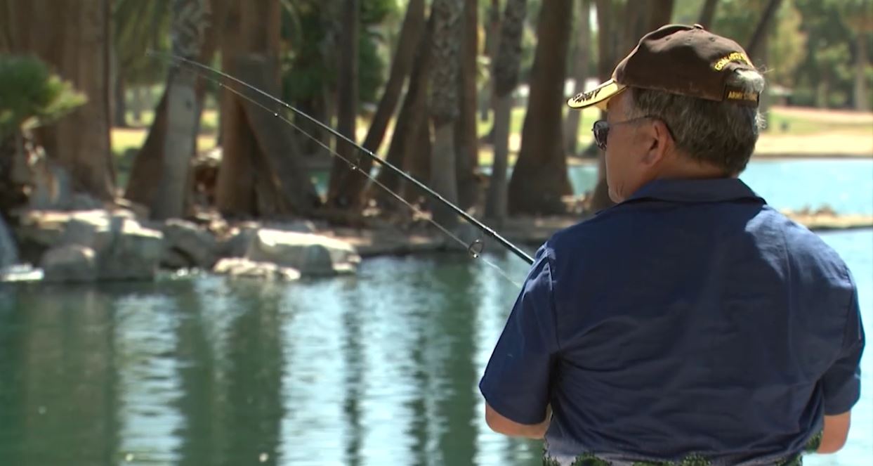 Arizona reeling in trout thanks to local fish hatcheries Arizona PBS