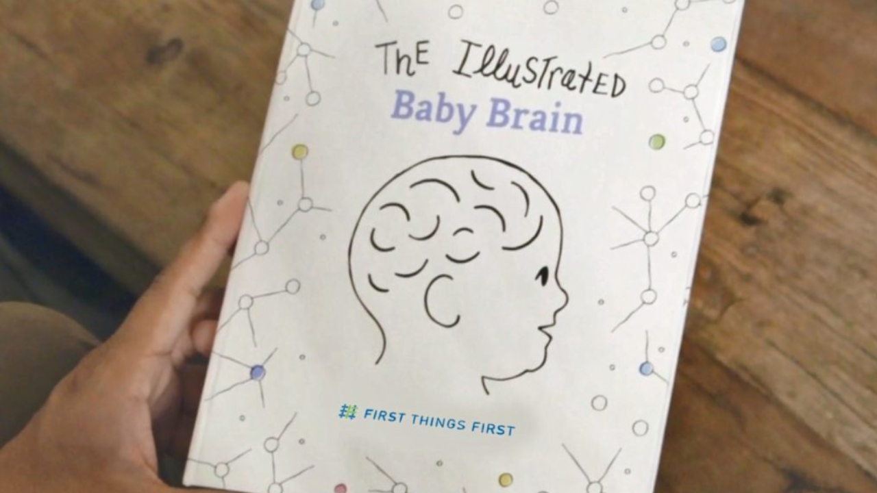 The Illustrated Baby Brain - First Things First