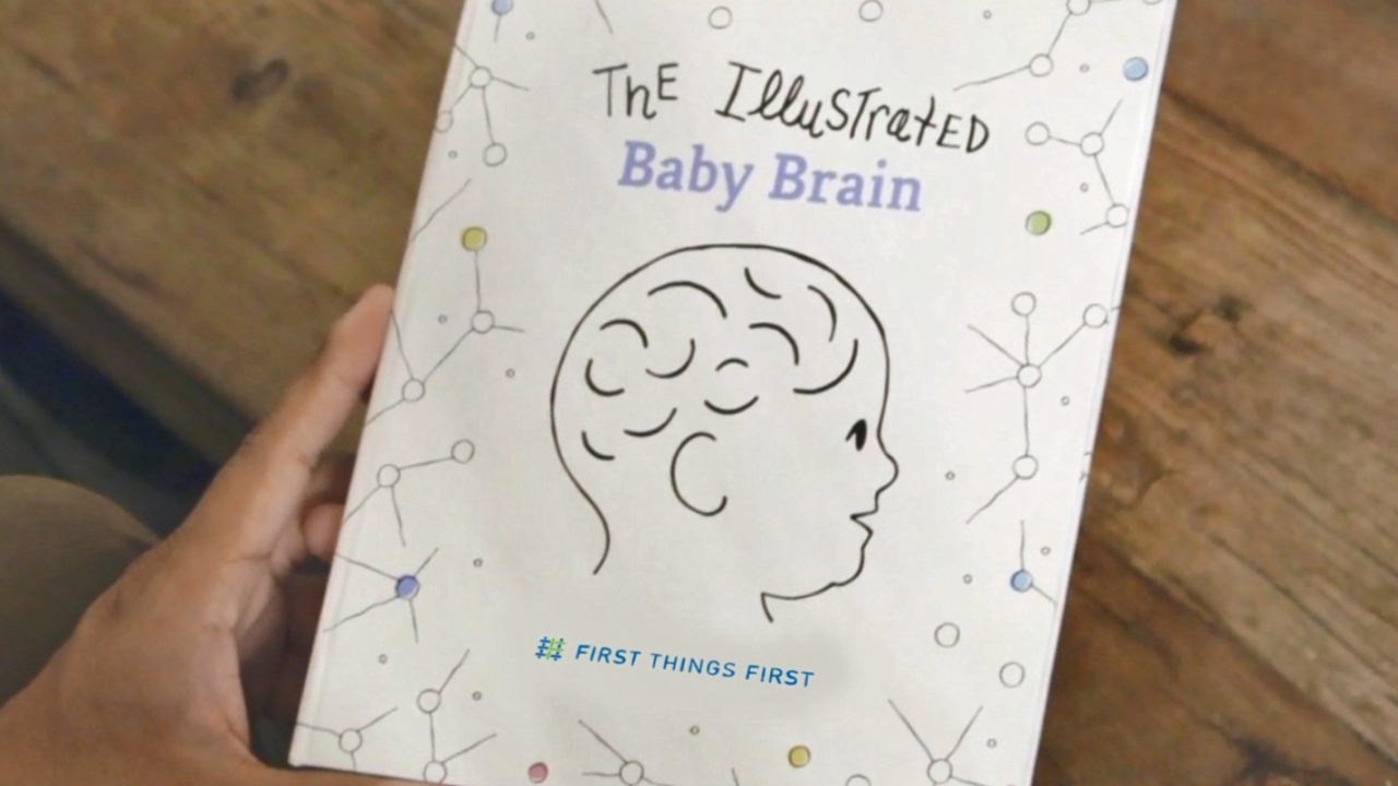 The Illustrated Baby Brain - First Things First
