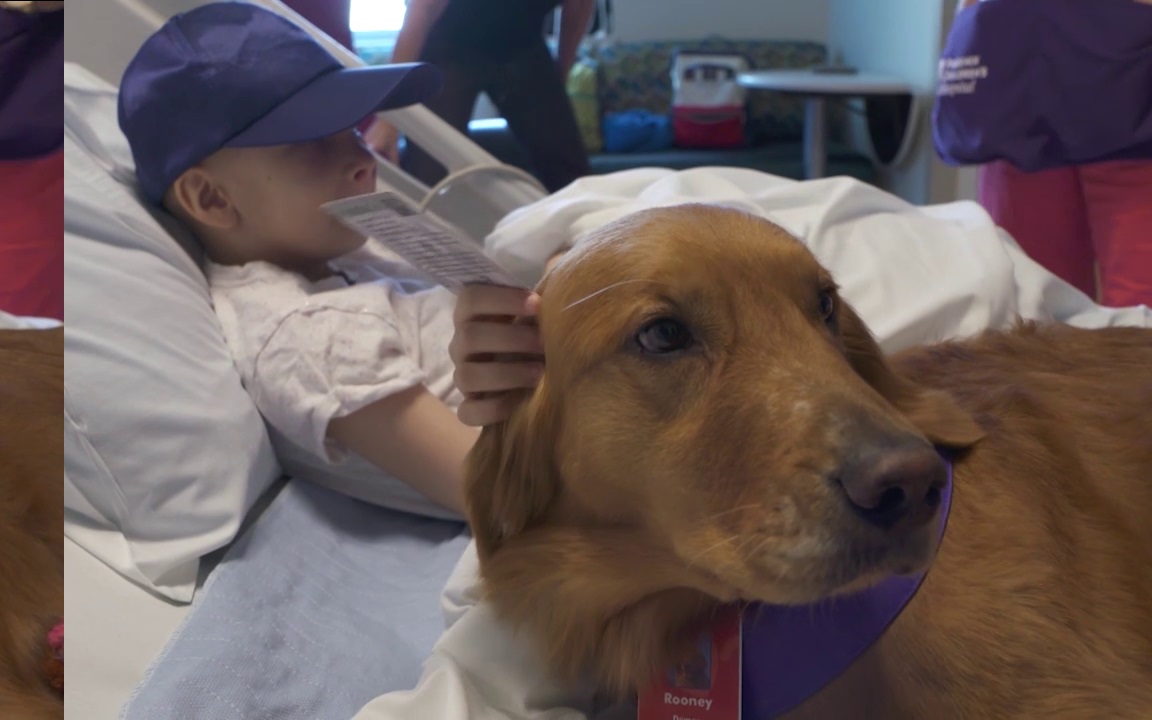 Therapy Dogs: Man's Best Friend Becomes Man's Best Medicine