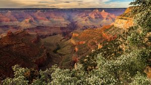 Grand Canyon at dusk
