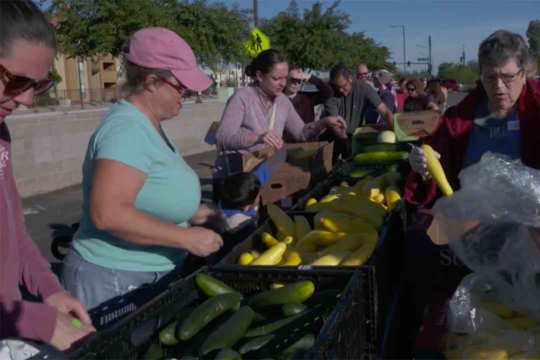 Inexpensive produce helps people near the border Arizona PBS