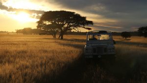 The Serengeti as featured on the show Nature