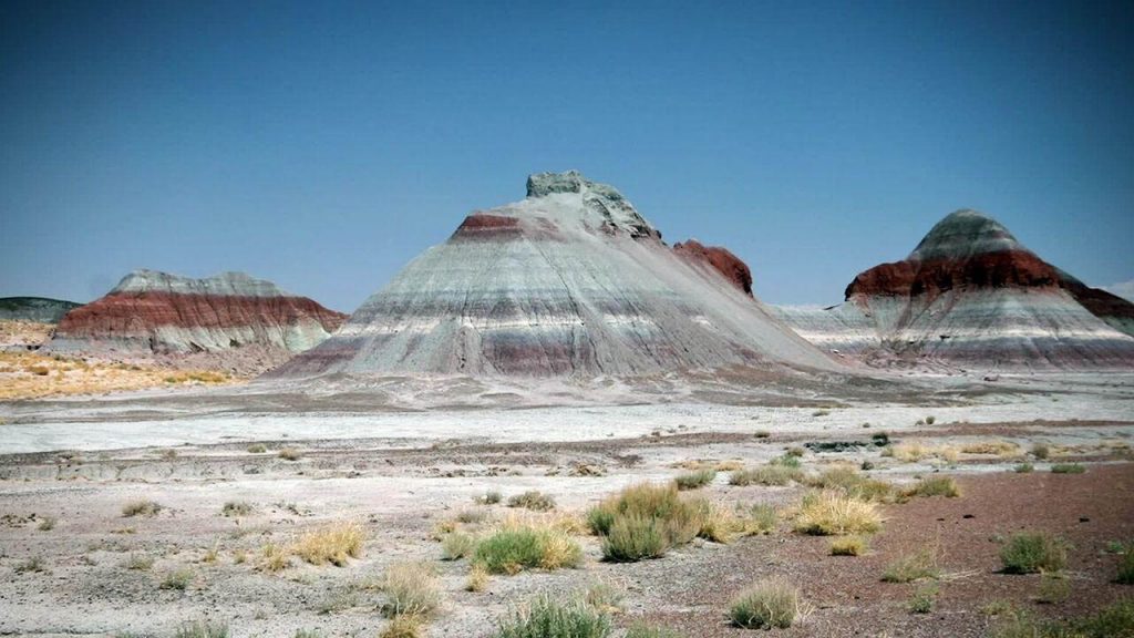 Painted Desert and Petrified Forrest