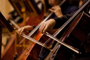 cello section closeup
