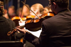 orchestra string section