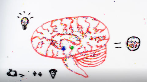 A diagram illustrates what happens to your brain when you eat sugar.