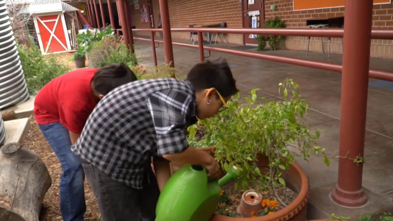Rainwater harvesters in Tucson help tackle Arizona's water concerns