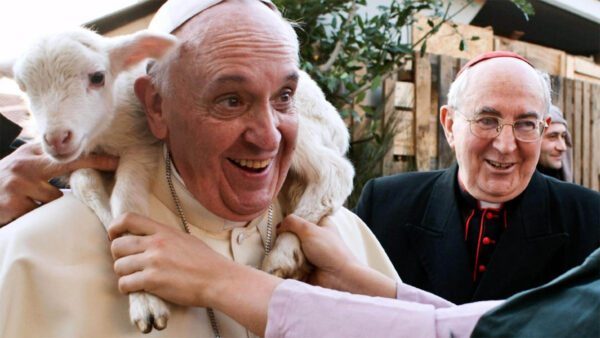 Pope Francis holding a baby goat