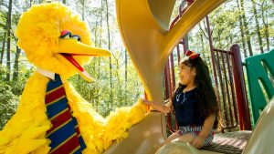 Big Bird helps a child down a slide