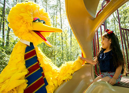 Big Bird helps a child down a slide