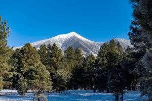 Humphrey's Peak