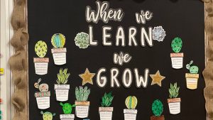 A bulletin board in a classroom reading: When we learn, we grow