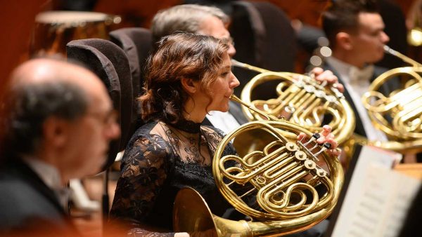 French Horn Player in the Symphony
