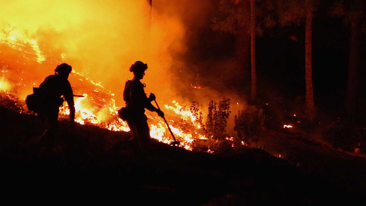Fireman try to put out a wild forest fire