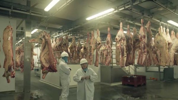 A butcher shop under invetigation