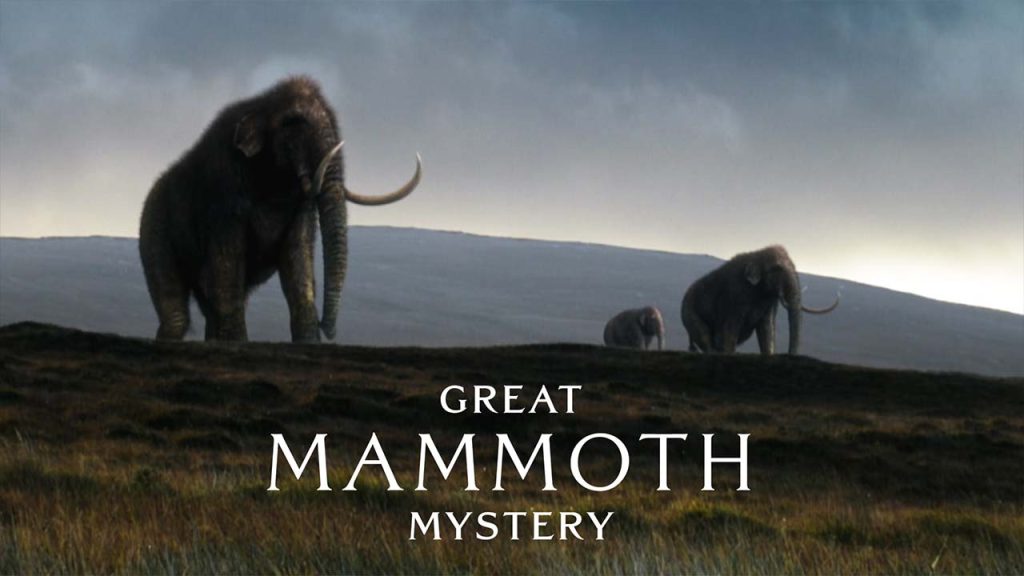 three mammoths are pictured with grass and water in the background