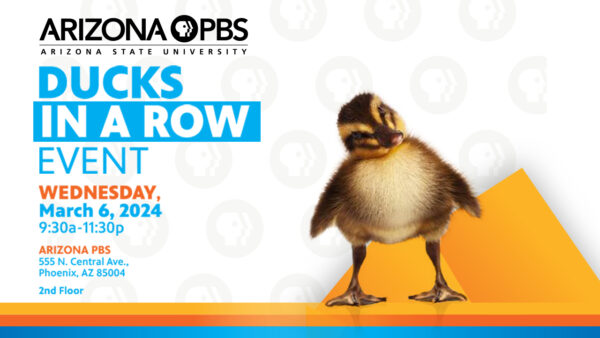 A cute little duckling with text reading: Arizona PBS Ducks in a Row Event