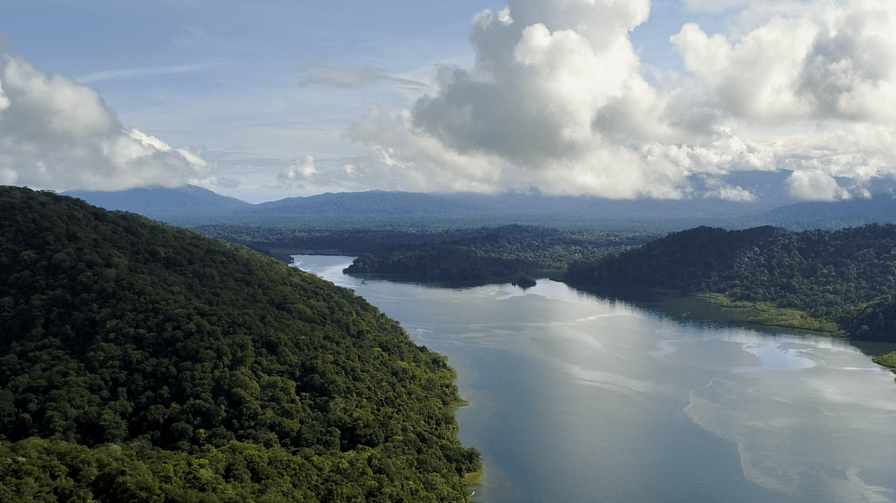 Aerial view of a river in Colombia