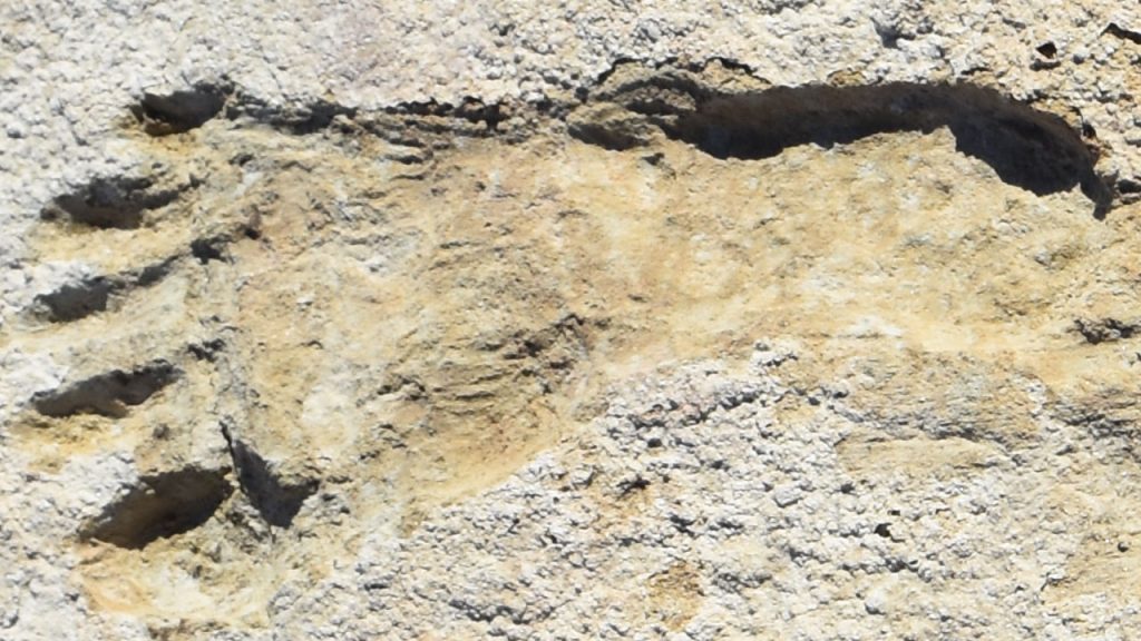 Ancient footprint found in White Sands National Park