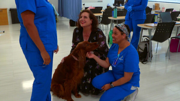 Nurses and a patient play with a service dog
