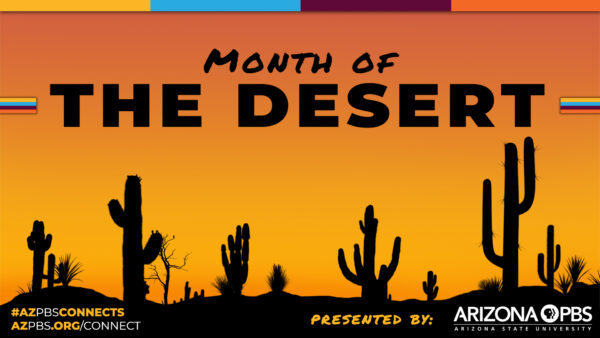 Month of the Desert text above cactus silhouettes against an orange background