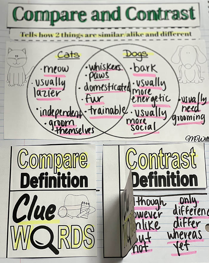 A page from an interactive notebook showing how to compare and contrast
