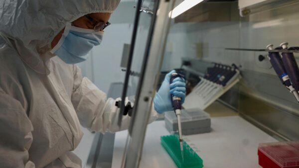 A lab worker runs tests on human DNA