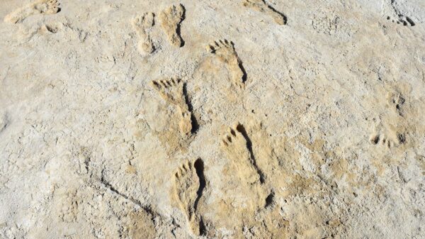 Fossils of Human tracks in North America