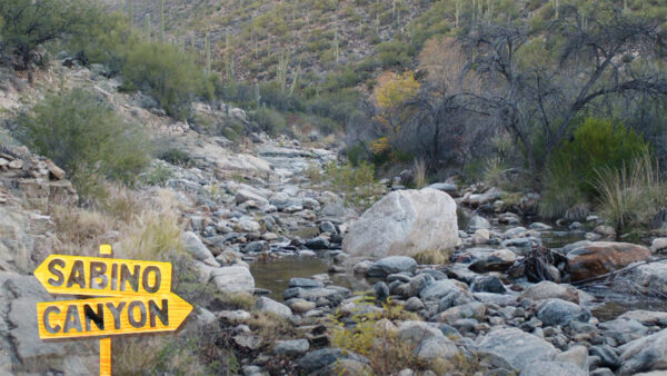 Trail Mix'd features Sabino Canyon in Tucson