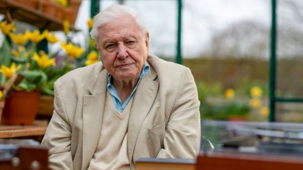 A picture of David Attenborough from the Nature episode, 