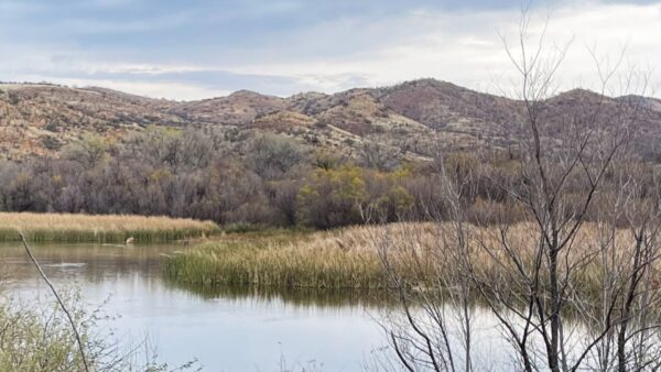 Southern Arizona: An Alluring Desert Gem