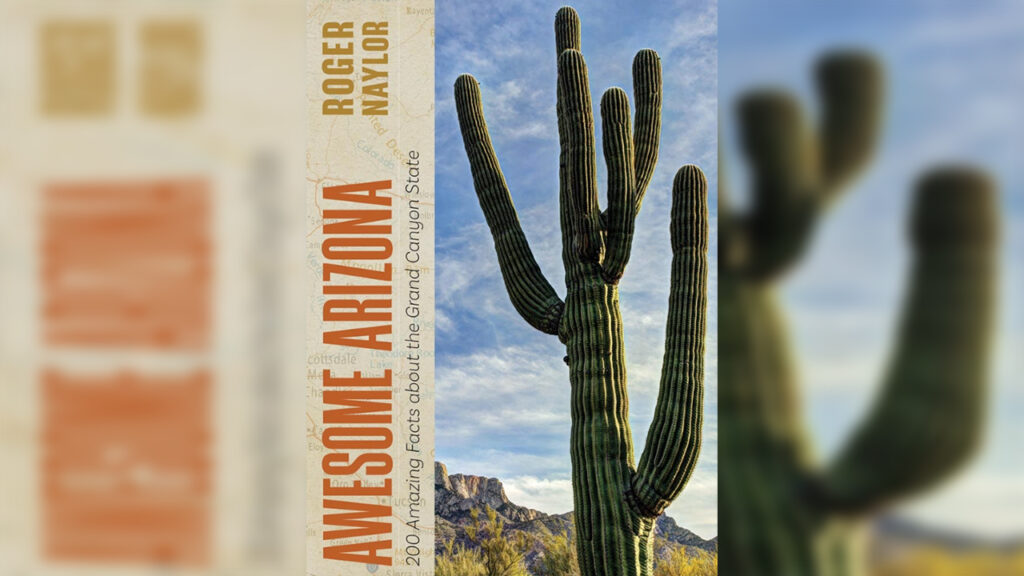 Awesome Arizona book cover