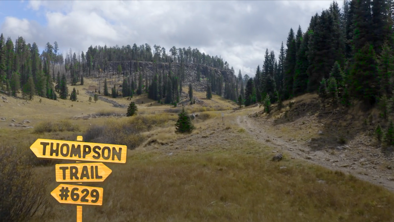 Thompson Trail in the White Mountains in eastern Arizona