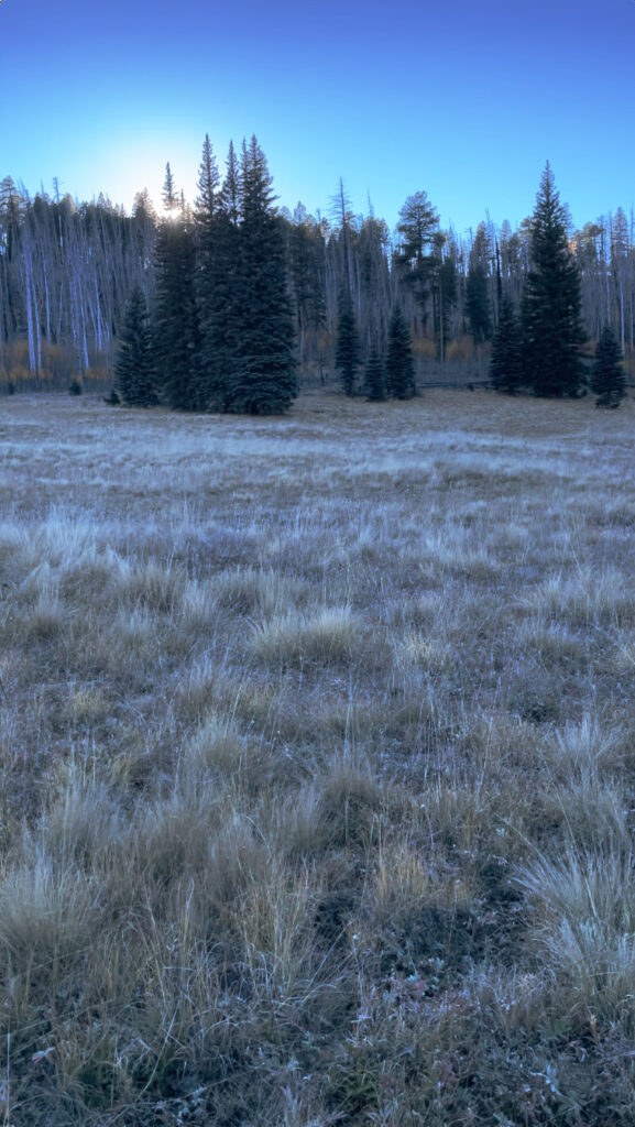 An open field near the White Mountains