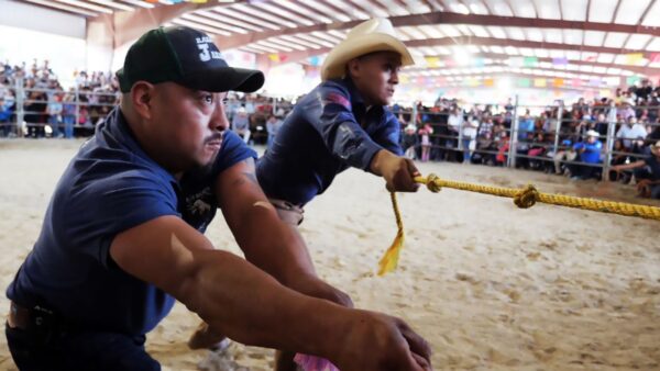 Two men in a ring waiting for a bull to come out of the chute from Bulls and Saints