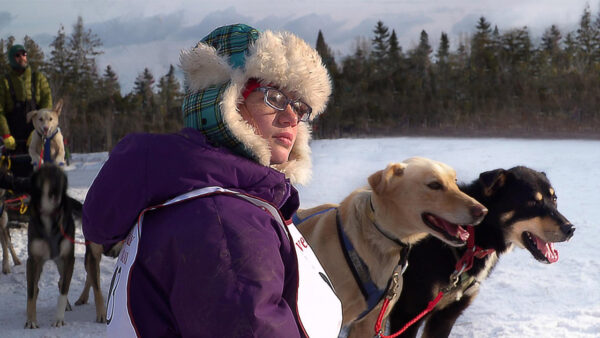 A musher or sled dog racer stands next to their dogs in the cold winter weather