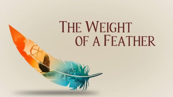 the weight of feather graphic