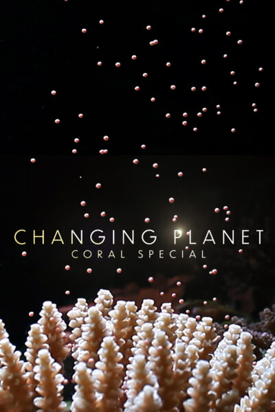 The poster for Changing Planet with a photo of coral