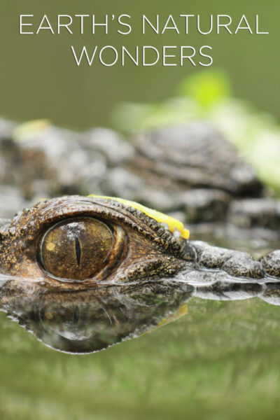Poster for Earth's Natural Wonders with a close up photo of an alligator's eyeball