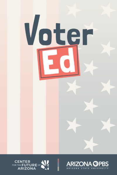 Voter Ed poster
