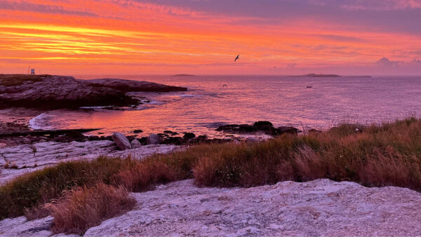 A sunset on the beach