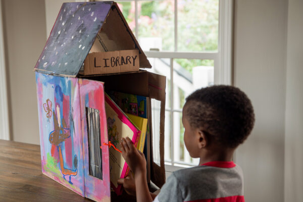 Cardboard mini library