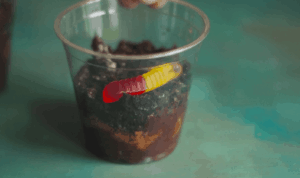 Edible dirt cup