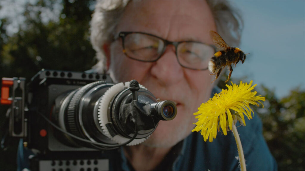 A man wearing glasses observes a bee closely while holding a camera, capturing the moment in nature.