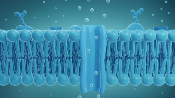 A graphic of strands of DNA