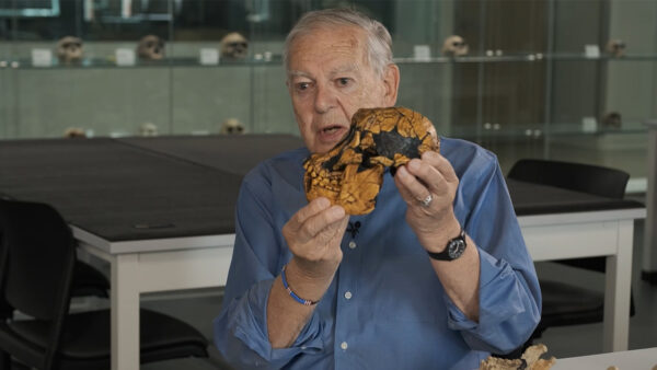 A man holding a skull of Lucy