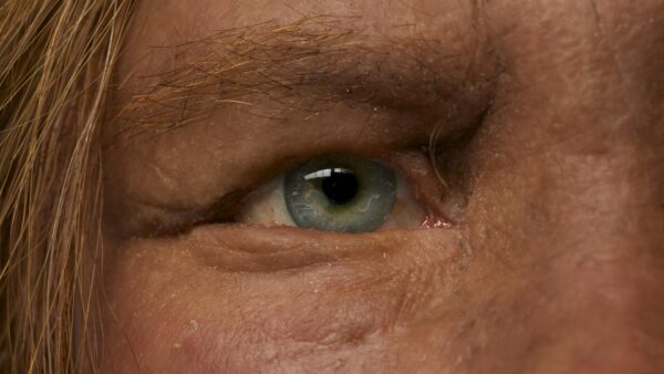 Neanderthal eye