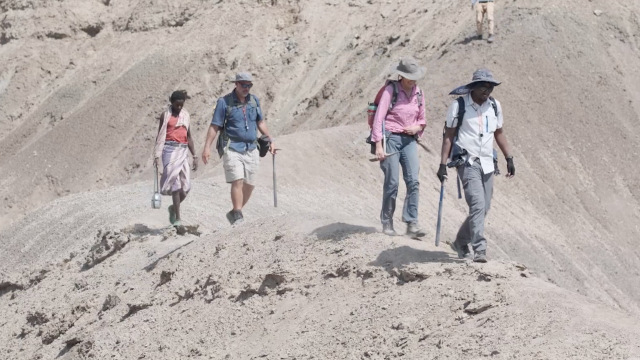 Four archaeologists out in the field, wearing backpacks and holding pickaxes