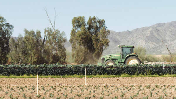 A tractor in a field